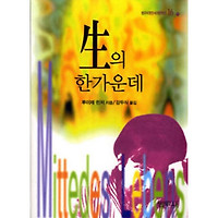 생의 한 가운데 - 개정 - 루이제 린저(강두식)