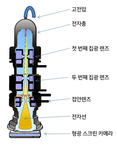 현미경, 어디까지 보일까? – 세포부터 나노까지