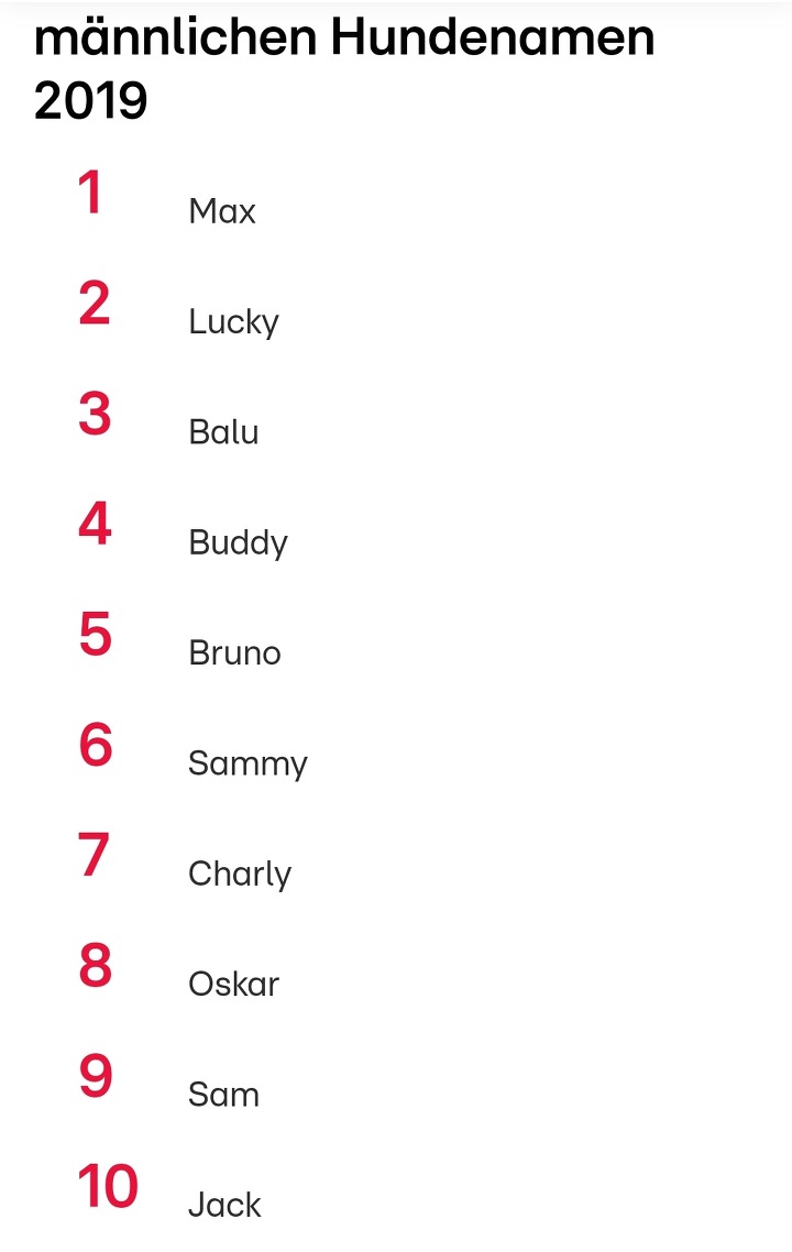 독일에서 가장 인기 있는 강아지 이름 Top10