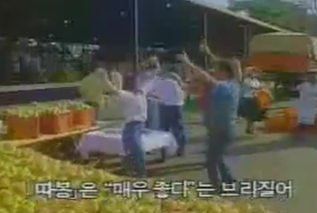 그동안 따봉을 잘못 알고 쓴 한국인들