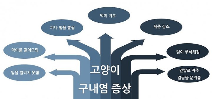 고양이 구내염, 치료 방법은 무엇일까?