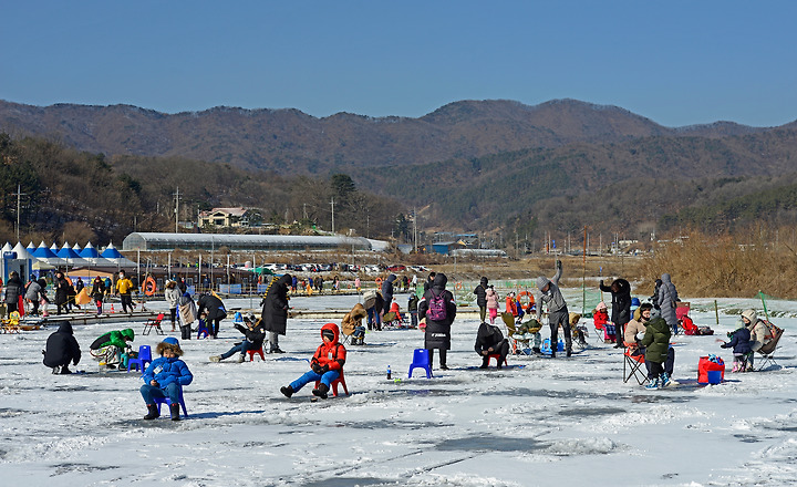 겨울 가볼만한 곳 안성빙어축제에 다녀오다 : 네이버 블로그