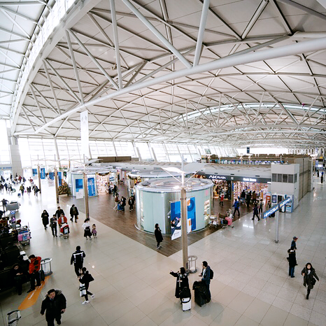 기내 와이파이 무료, 유나이티드 항공, 미국 비행기 출국