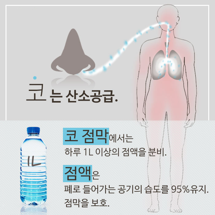 콧물이 발생하는 4가지 이유와 콧물이 계속 발생하는 이유