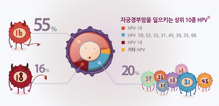●남성도 필수 자궁경부암 백신 가다실9 안암역 산부인과